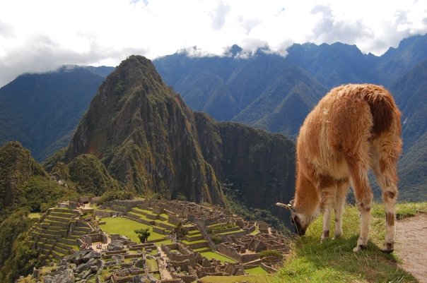 Machu Picchu